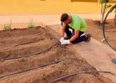 El PFAE Tabaiba comienza unas importantes obras de rehabilitación en los jardines y huertos de los centros escolares de Puerto del Rosario