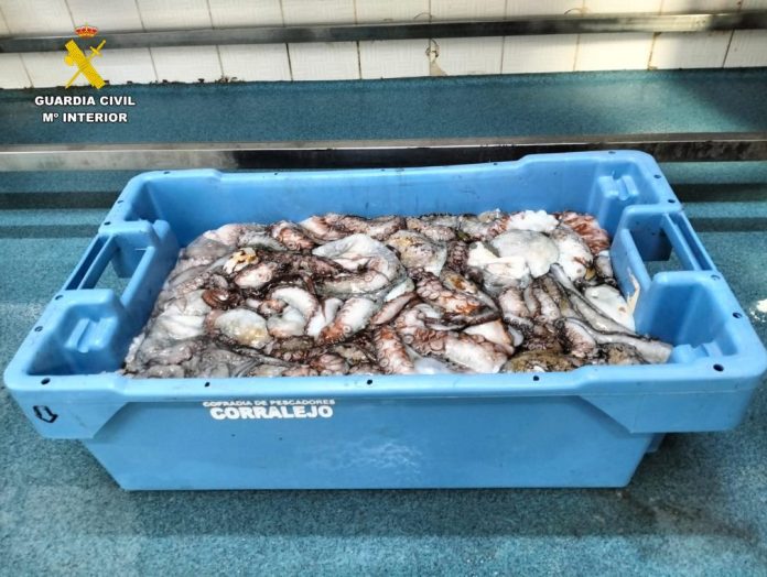 9229e286-db21-4641-8186-9456a02d7060